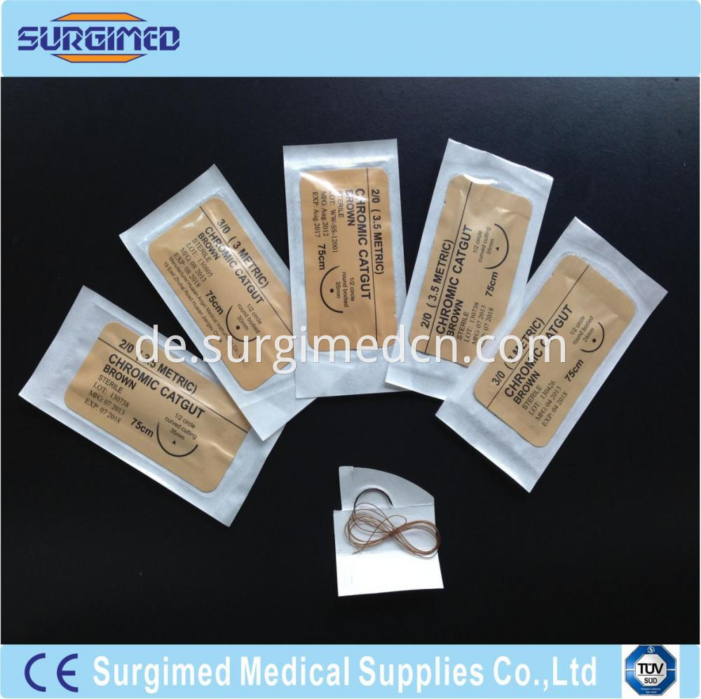 Surgical Suture 7 Catgut